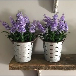 Farmhouse Lilac Olive Bucket Planters